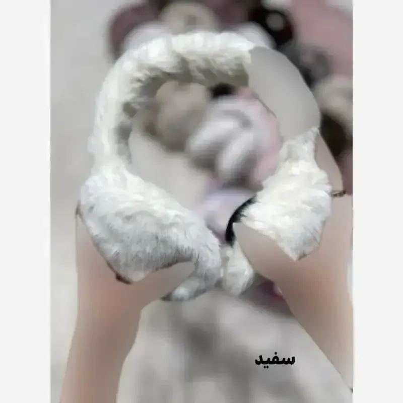 گوش گیر خز وارداتی نرم و لطیف سایز آزاد